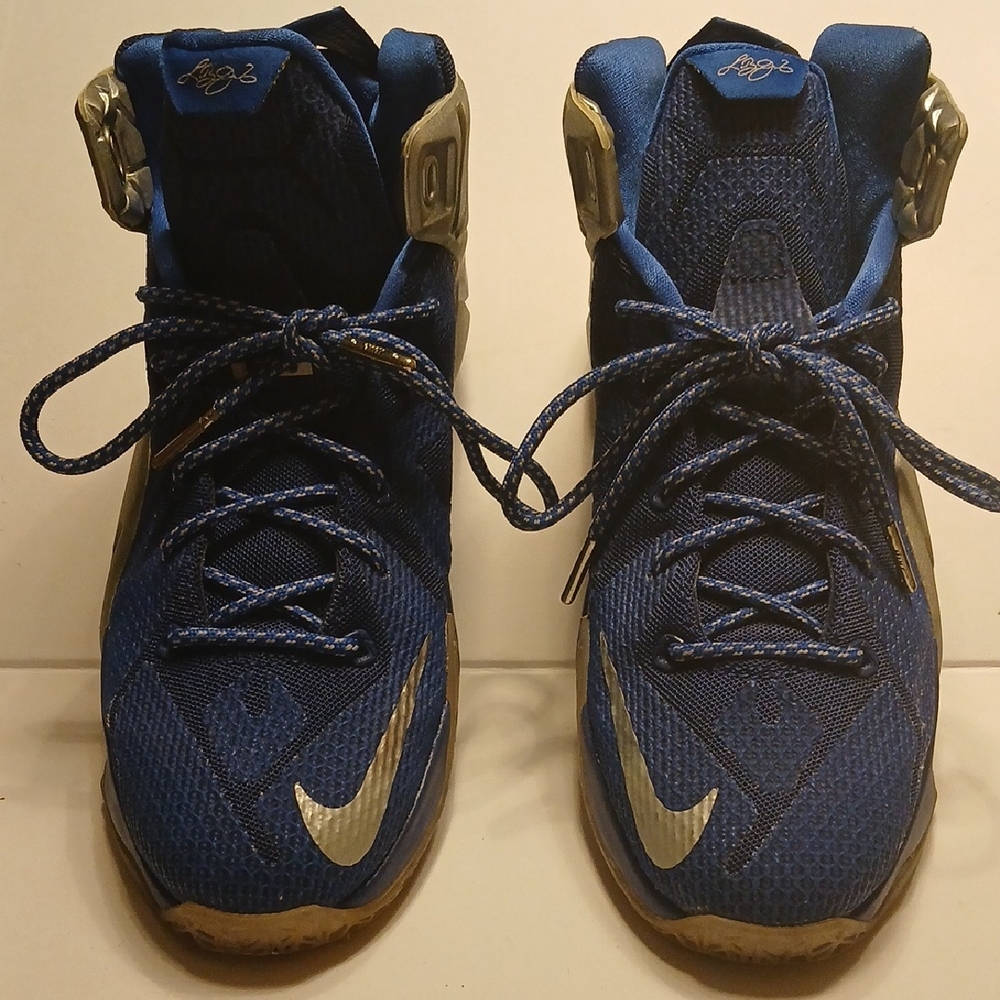 Nike Lebron XII (12)  Kids Sneakers in Blue and Silver Size 6Y